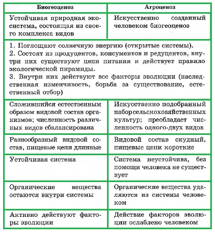 bioraznoobrazie v gorodskom landshafte sozdanie ustoychivyh ekosistem