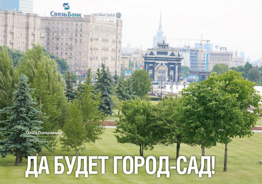 derevya dlya gorodskih parkov ustoychivost i krasota