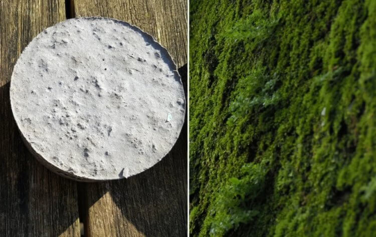 eko beton buduschee gorodskogo blagoustroystva