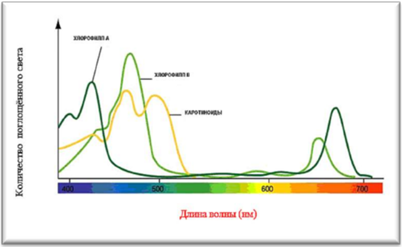 ekologicheskiy monitoring pri ispolzovanii biogaza v landshaftnom dizayne