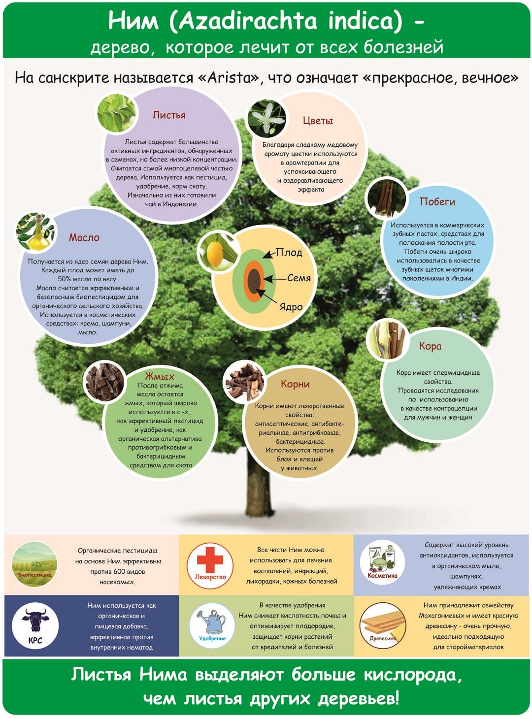 ekologichnye resheniya dlya zaschity sada ot vrediteley