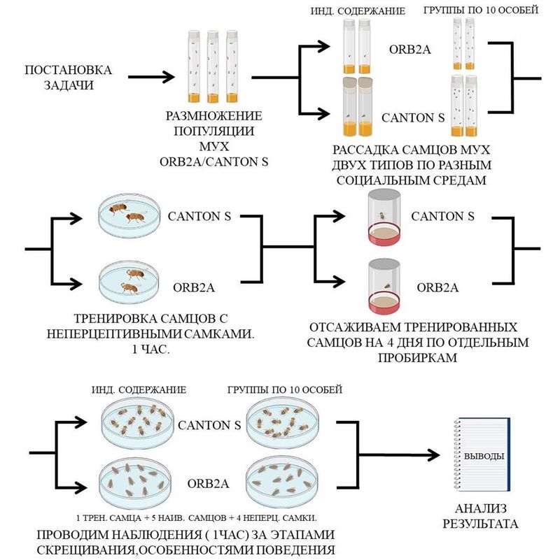 Экономическая эффективность и социальная значимость проектов по созданию ландшафтов для животных 2 ekonomicheskaya effektivnost i sotsialnaya znachimost proektov po sozdaniyu landshaftov dlya zhivotnyh