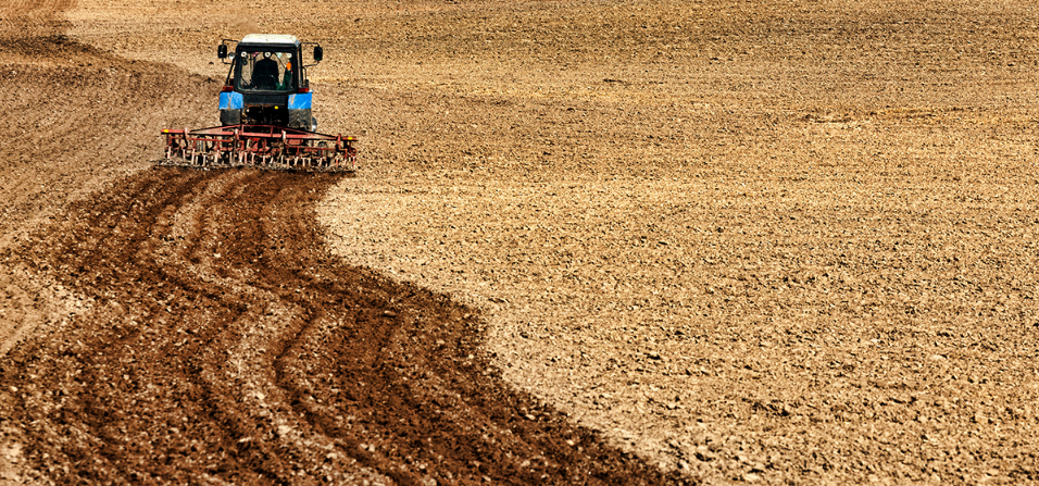 ekonomicheskaya effektivnost razlichnyh metodov utilizatsii rastitelnyh ostatkov