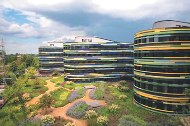 ekonomicheskoe obosnovanie sozdaniya zelenyh krysh i sten 1