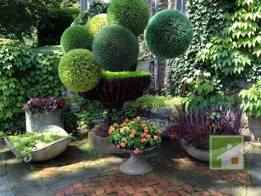 Геометрия в саду основы модернистского ландшафтного дизайна 1 geometriya v sadu osnovy modernistskogo landshaftnogo dizayna