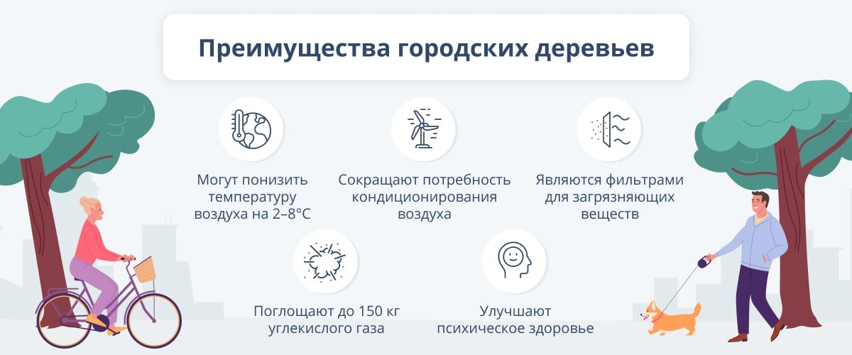 inklyuzivnyy dizayn i ozelenenie gorodskih prostranstv