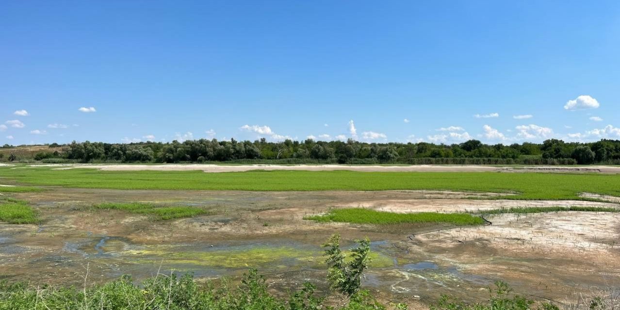 integratsiya prirodnyh mehanizmov samoregulyatsii v proektirovanie landshaftnyh parkov