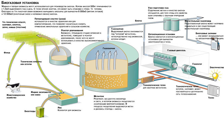 ispolzovanie biogaza dlya obogreva teplits v landshaftnom proektirovanii
