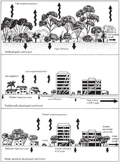 ispolzovanie dopolnennoy realnosti dlya optimizatsii protsessa ozeleneniya i blagoustroystva territoriy