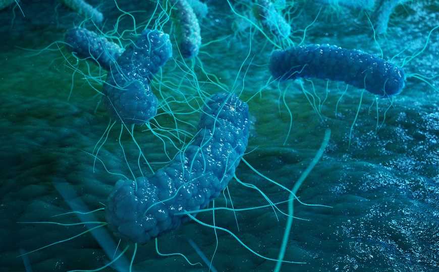 ispolzovanie geneticheskih metodov dlya kontrolya invazivnyh rasteniy