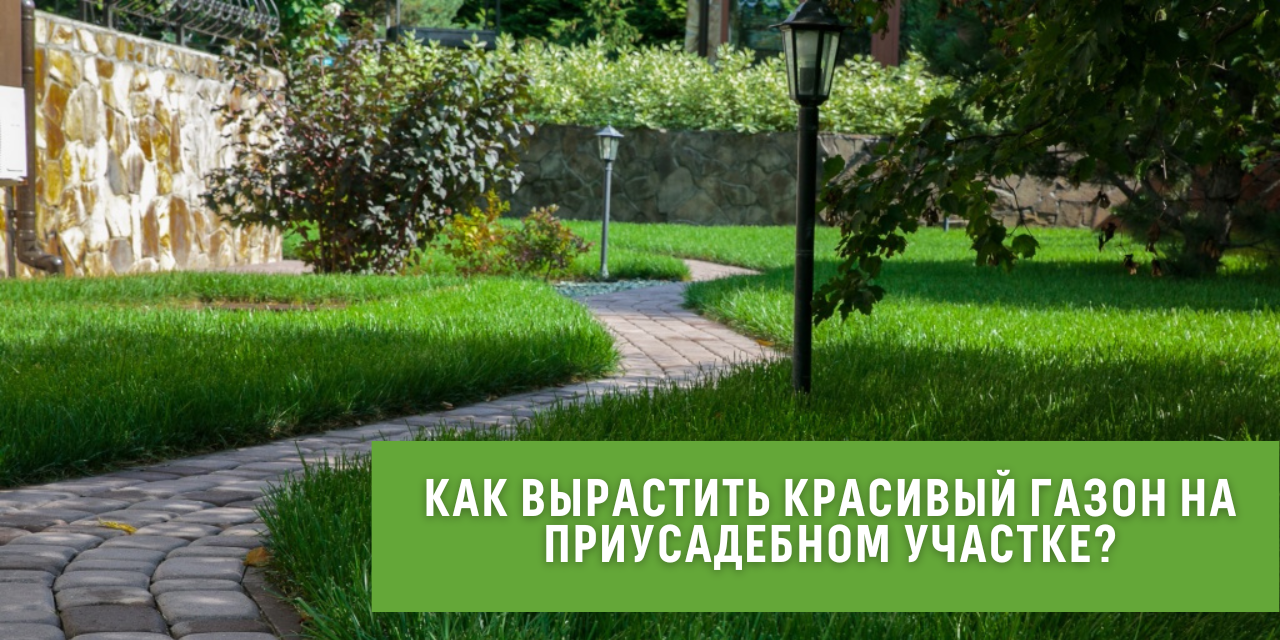 optimalnyy sostav pochvy dlya gazona