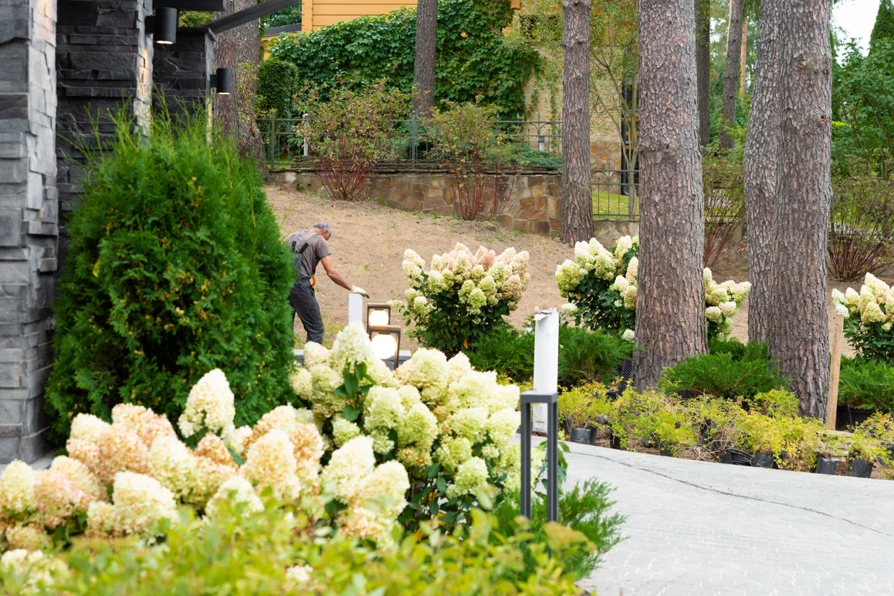 optimizatsiya vybora rasteniy dlya konteynernogo ozeleneniya v usloviyah gorodskoy sredy