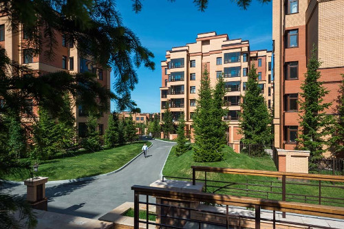 ozelenenie i blagoustroystvo prilegayuschih k dorozhkam territoriy