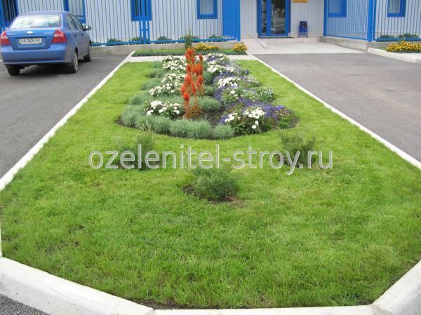ozelenenie territoriy borba s vetrovoy degradatsiey