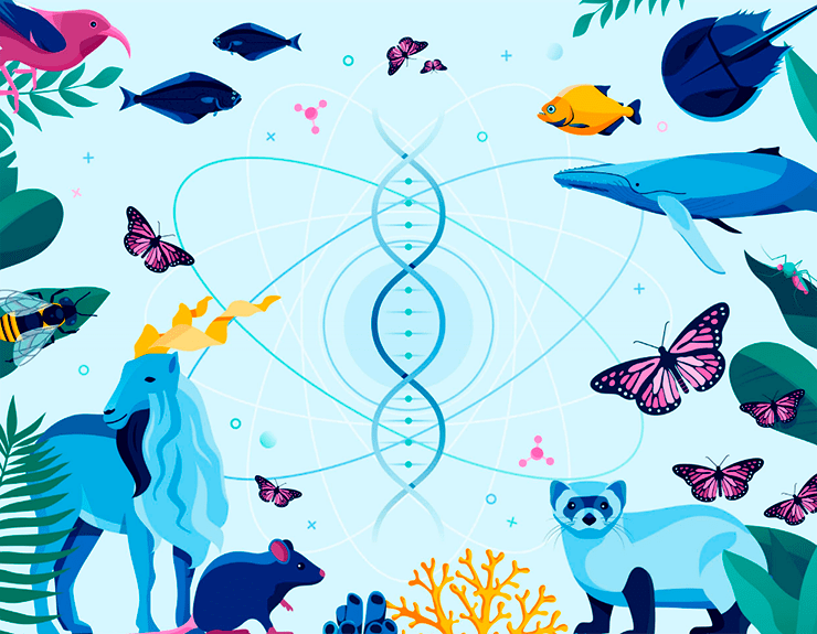 primenenie geneticheskih tehnologiy dlya sohraneniya ischezayuschih vidov