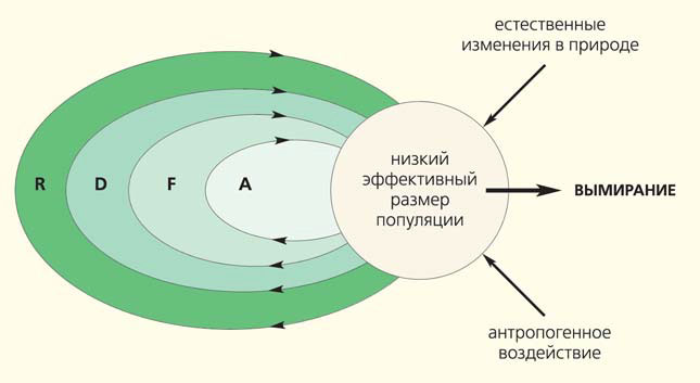 primenenie mestnyh vidov rasteniy dlya povysheniya ustoychivosti landshafta