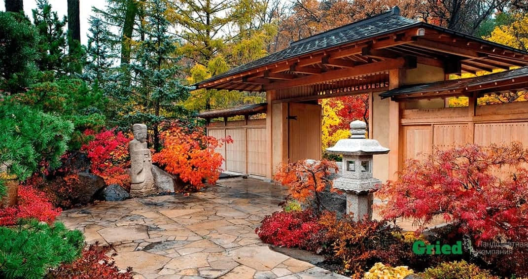 rastitelnost yaponskogo sada podbor i razmeschenie rasteniy