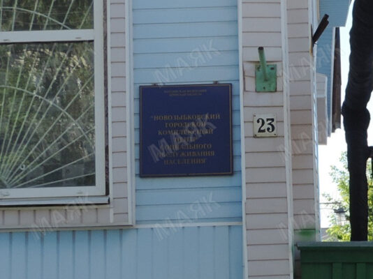 razdelenie obyazannostey v mnogopokolencheskoy seme