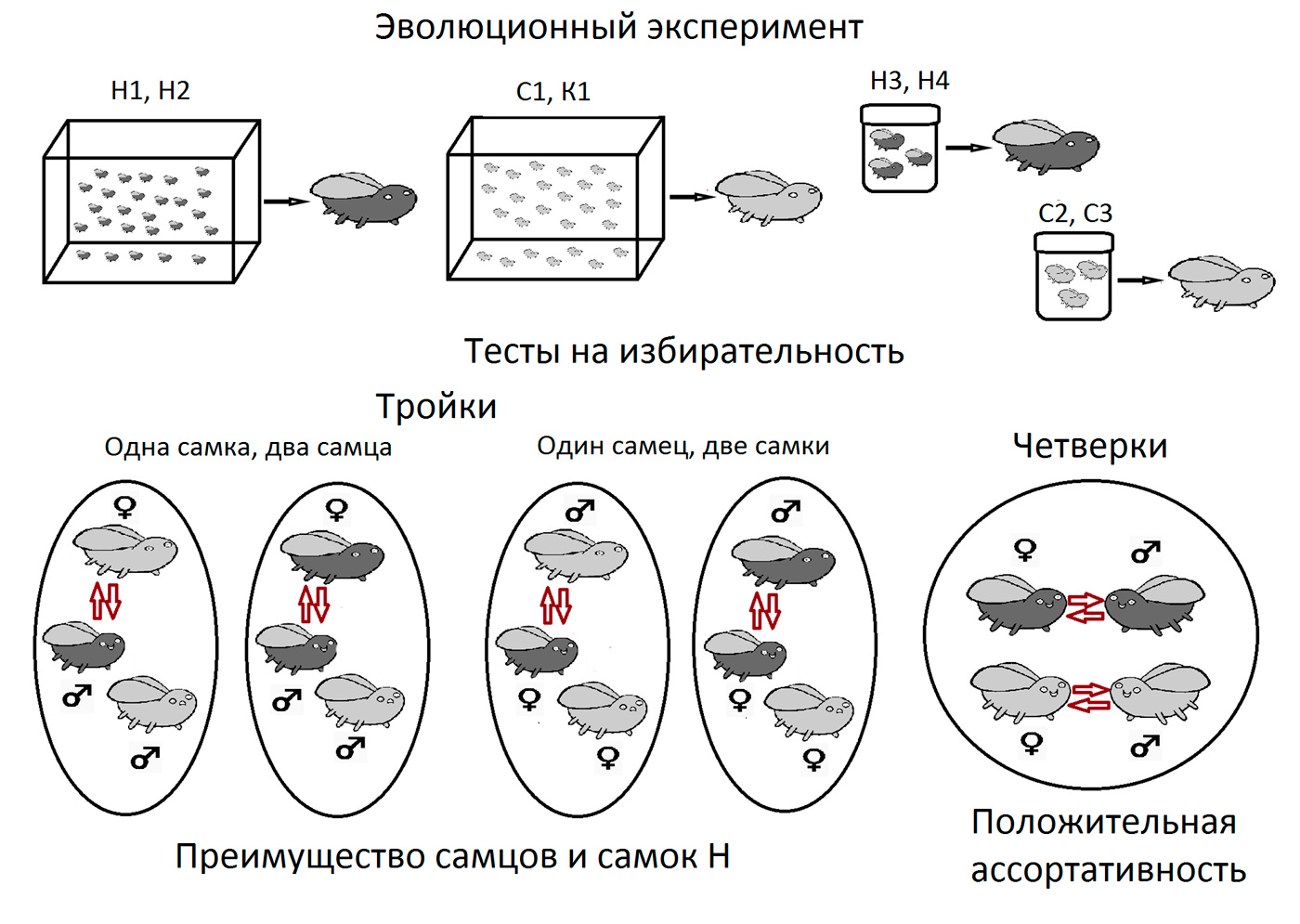razrabotka adaptivnyh strategiy sohraneniya redkih vidov v usloviyah izmeneniya klimata