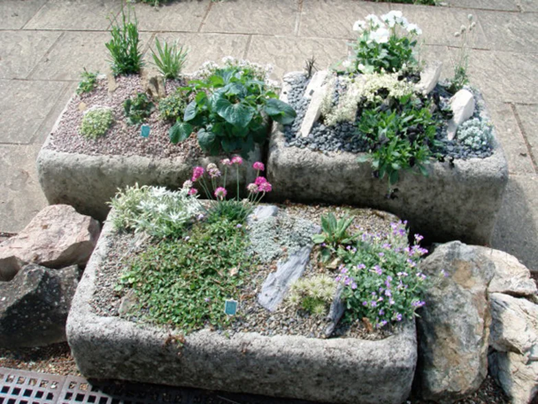 Рокарий в маленьком саду идеи и советы 2 rokariy v malenkom sadu idei i sovety