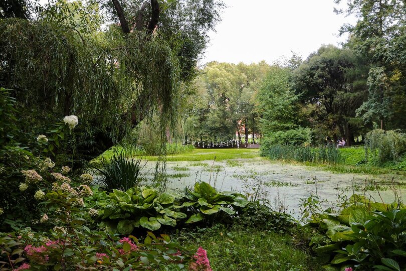 rol botanicheskih sadov v sohranenii redkih i ischezayuschih vidov rasteniy