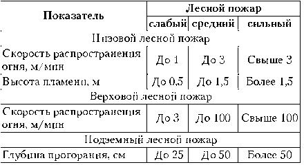 rol lesnyh polos v predotvraschenii rasprostraneniya pozharov