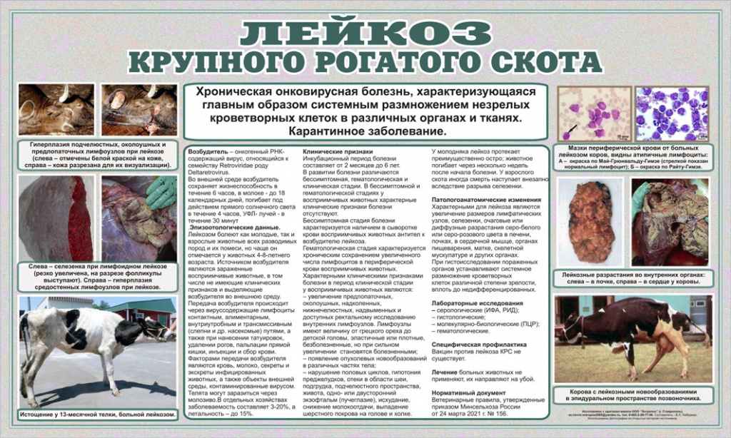 rol zelyonyh koridorov v podderzhanii geneticheskogo raznoobraziya populyatsiy zhivotnyh