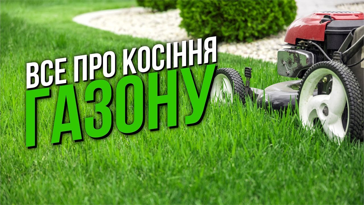 sekrety sozdaniya pyshnogo i zdorovogo gazona