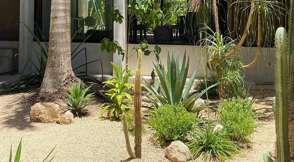 Создание ландшафтов устойчивых к сильным ветрам инженерные решения 1 sozdanie landshaftov ustoychivyh k silnym vetram inzhenernye resheniya