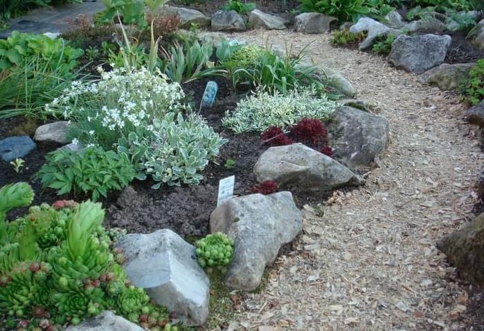 sozdanie unikalnyh kompozitsiy s pomoschyu dekorativnoy schepy i kory 1