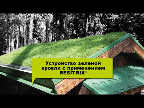 tehnologiya sozdaniya zelenoy kryshi svoimi rukami