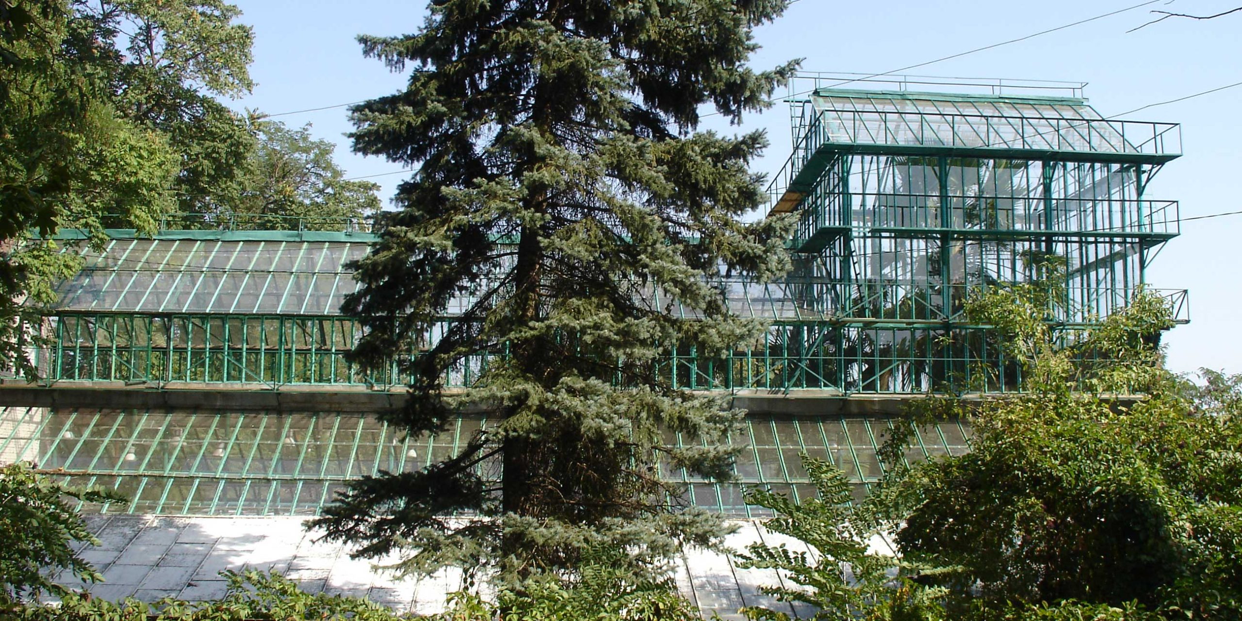 uhod za rasteniyami v botanicheskom sadu sezonnye raboty scaled