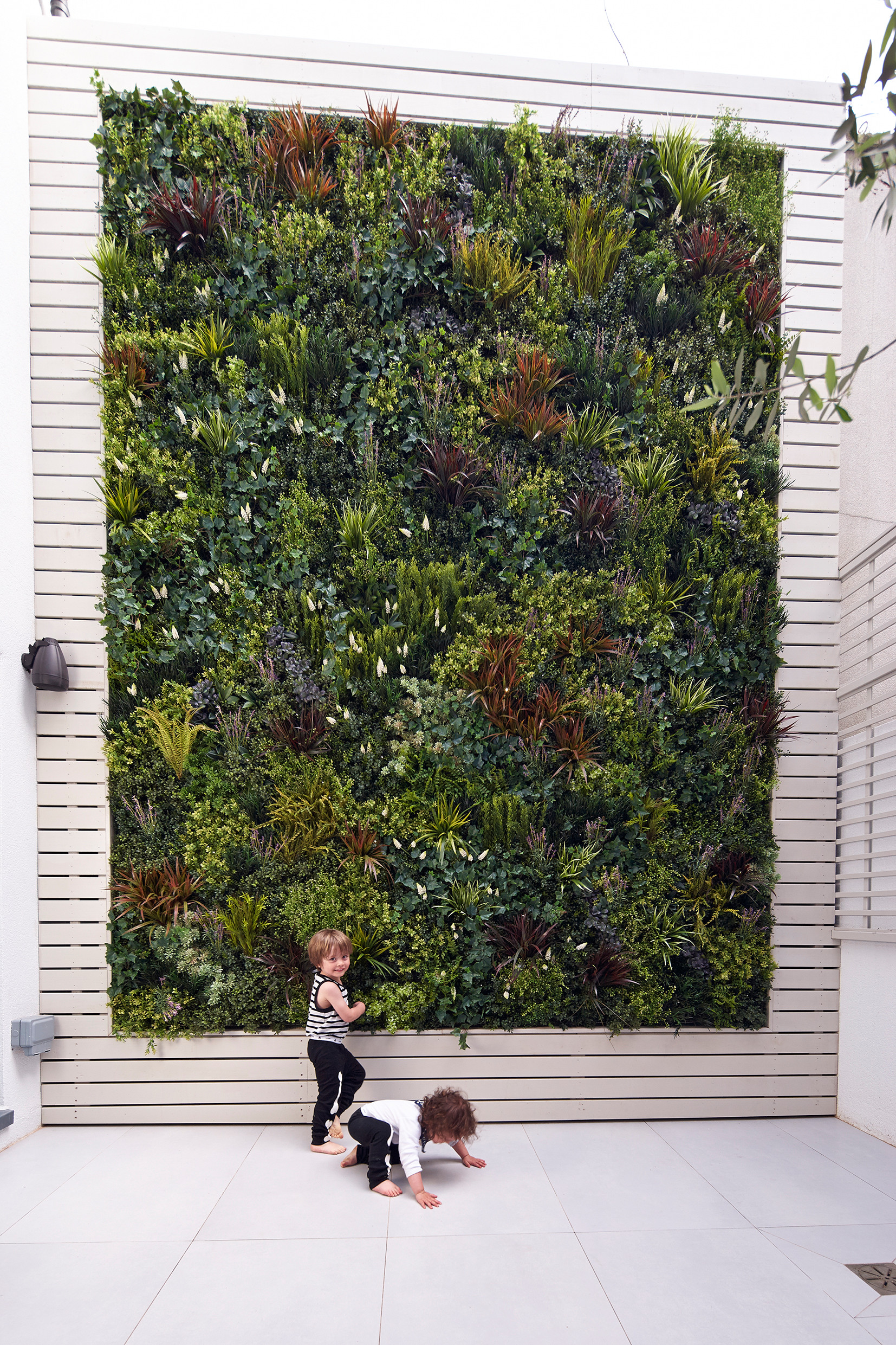 vertikalnoe ozelenenie ot idei do realizatsii v vashem dome