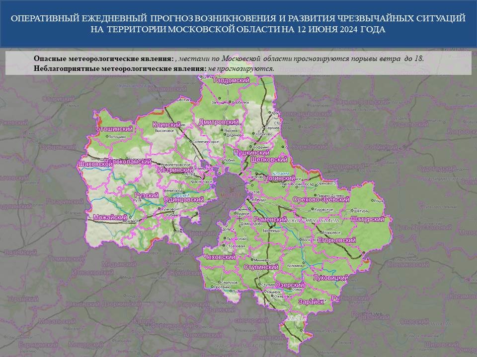 vliyanie antropogennyh faktorov na dinamiku razvitiya zelenyh massivov