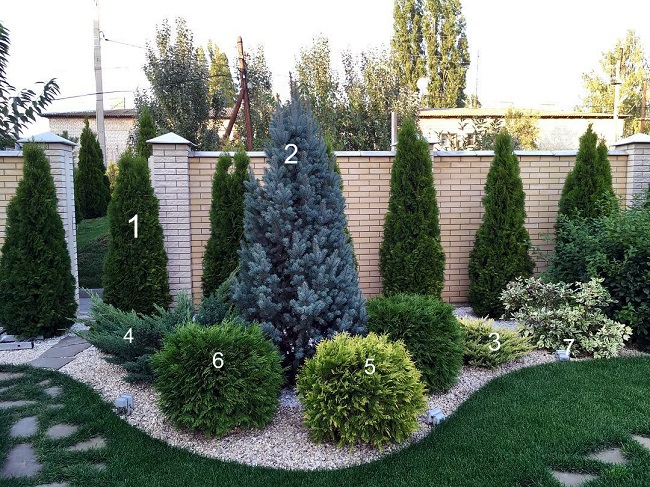 vybor rasteniy dlya energosberezheniya v landshaftnom dizayne
